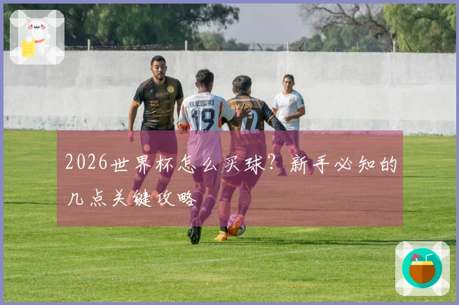 2026世界杯怎么买球？新手必知的几点关键攻略