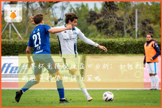 世界杯竞猜投注盘口分析：如何判断胜负趋势与投注策略