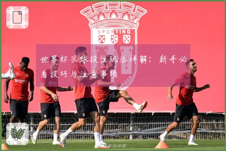 世界杯买球投注玩法详解：新手必看技巧与注意事项