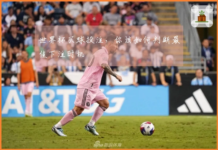 世界杯买球投注，你该如何判断最佳下注时机