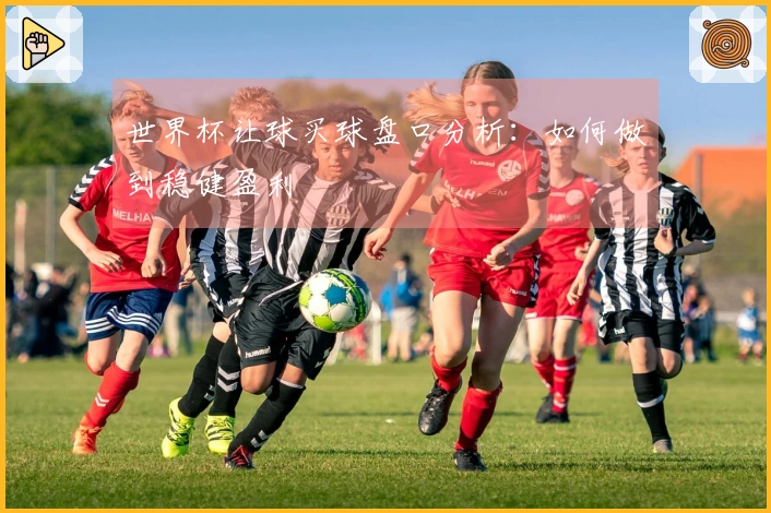 世界杯让球买球盘口分析：如何做到稳健盈利