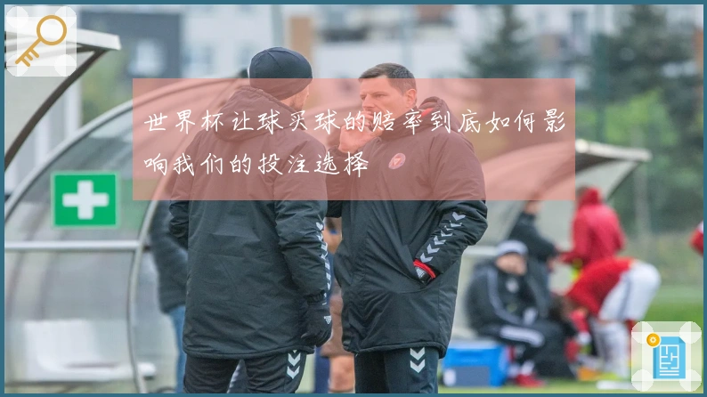 世界杯让球买球的赔率到底如何影响我们的投注选择